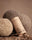 Relax: Reishi Capsules