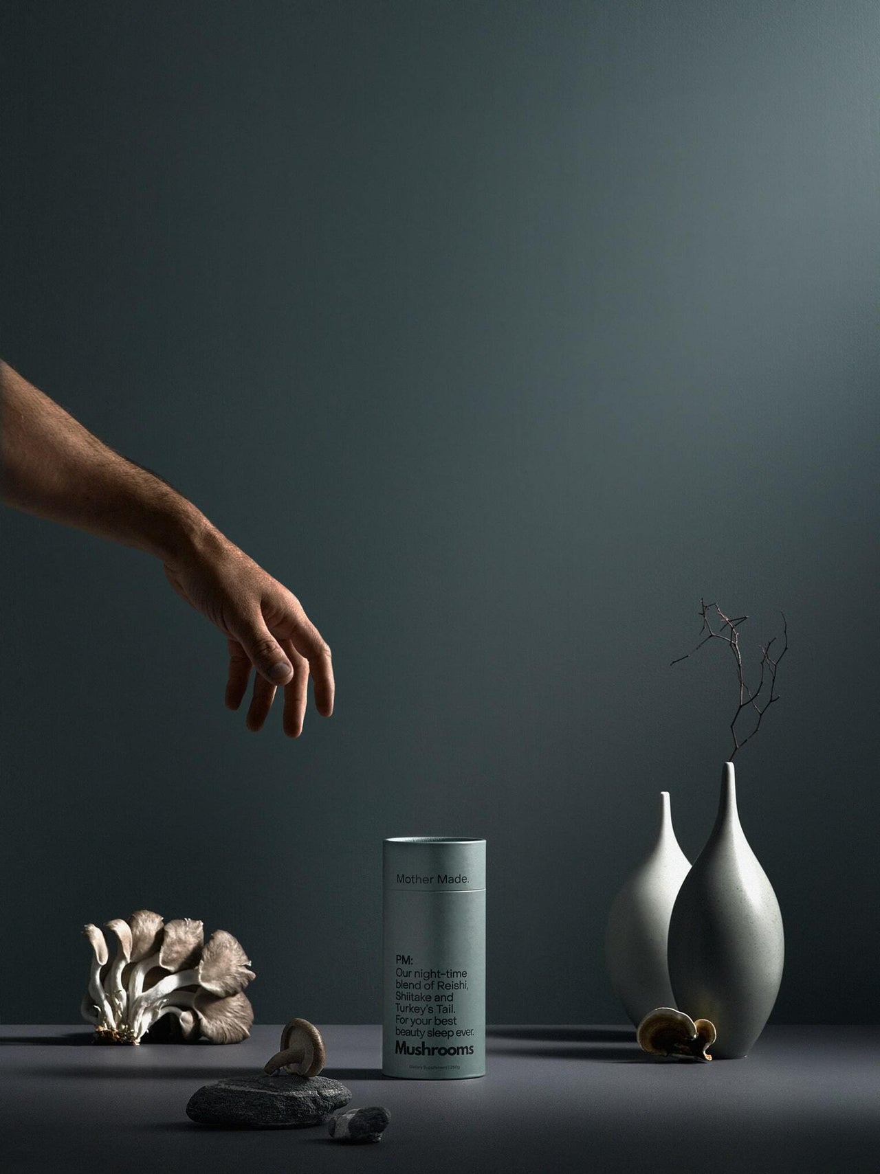 PM: Mushroom Powder