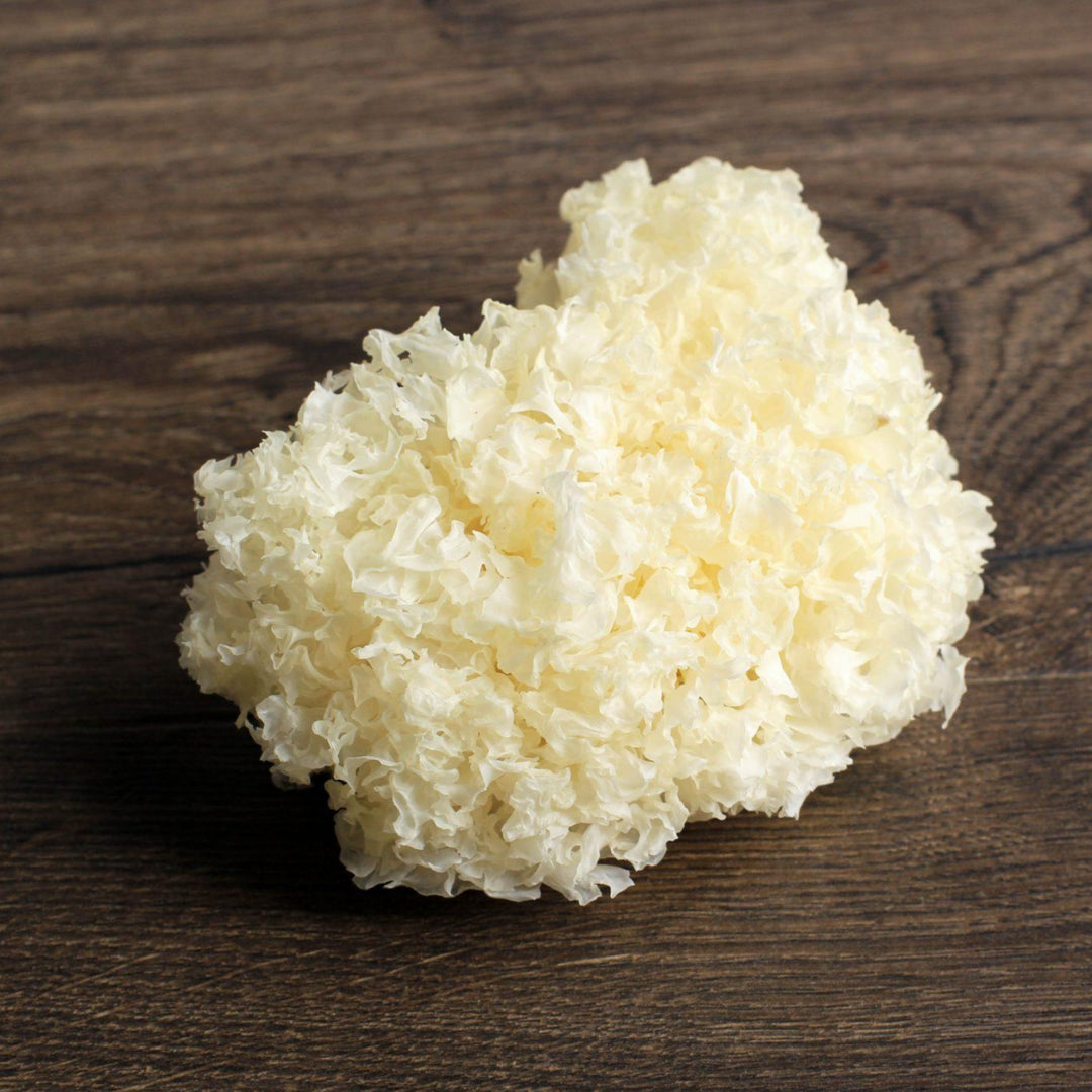Tremella